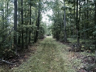 Property photo 17 - LAND AUCTION, 55+/- Acres offered in 2 tracts
